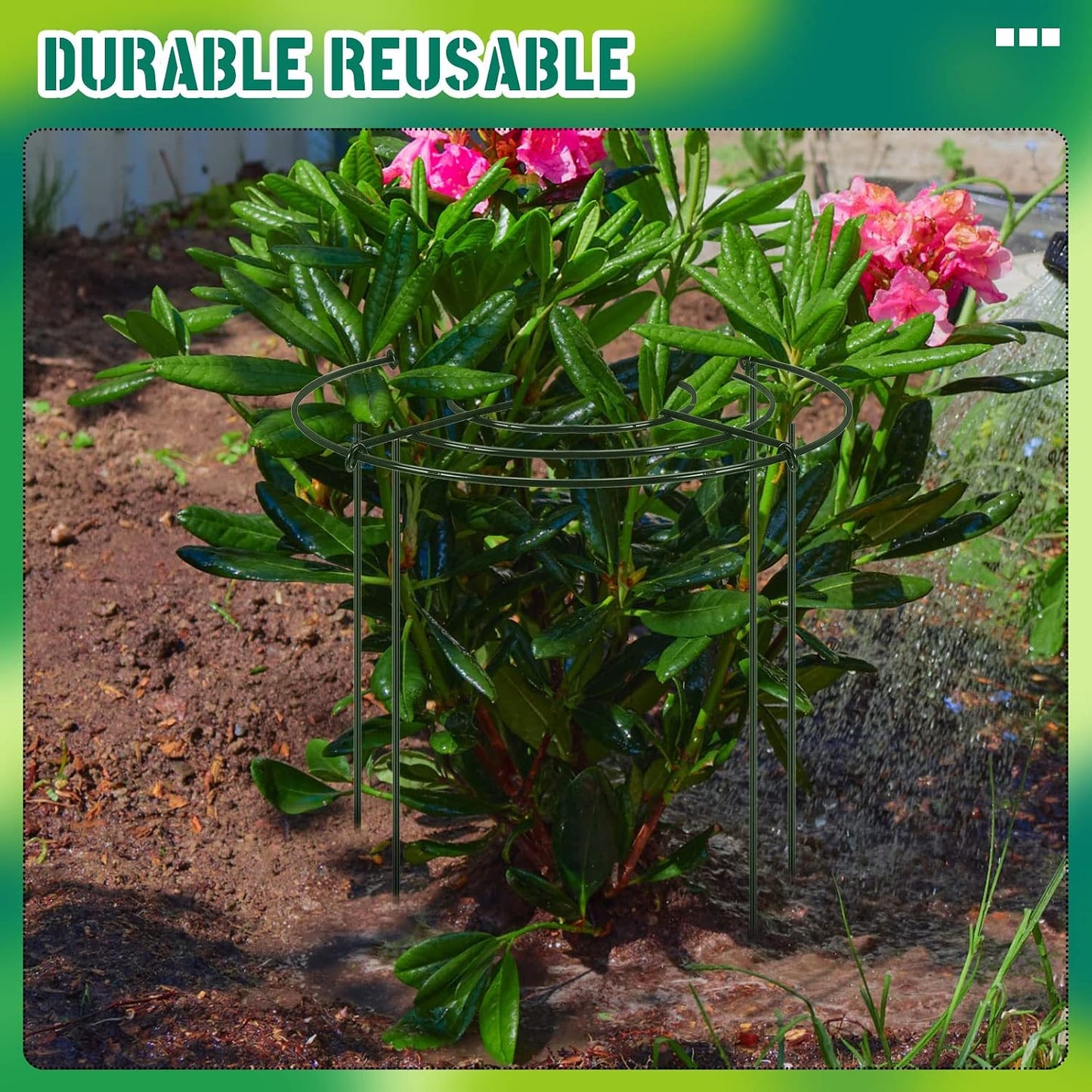 15 Pack Hydrangea Dahlia Peony Cages and Supports Grow Through Metal Plant Supports Frame Rings Hoops for Outdoor Hydrangea Dahlia Plants Tomato(Green,12 x16 Inch)