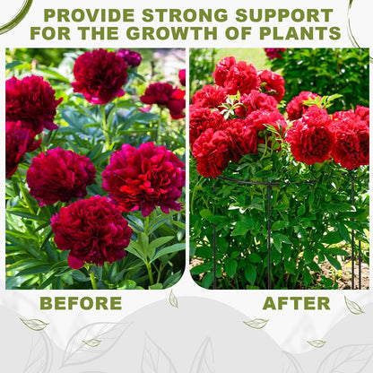 15 Pack Hydrangea Dahlia Peony Cages and Supports Grow Through Metal Plant Supports Frame Rings Hoops for Outdoor Hydrangea Dahlia Plants Tomato(Green,12 x16 Inch)