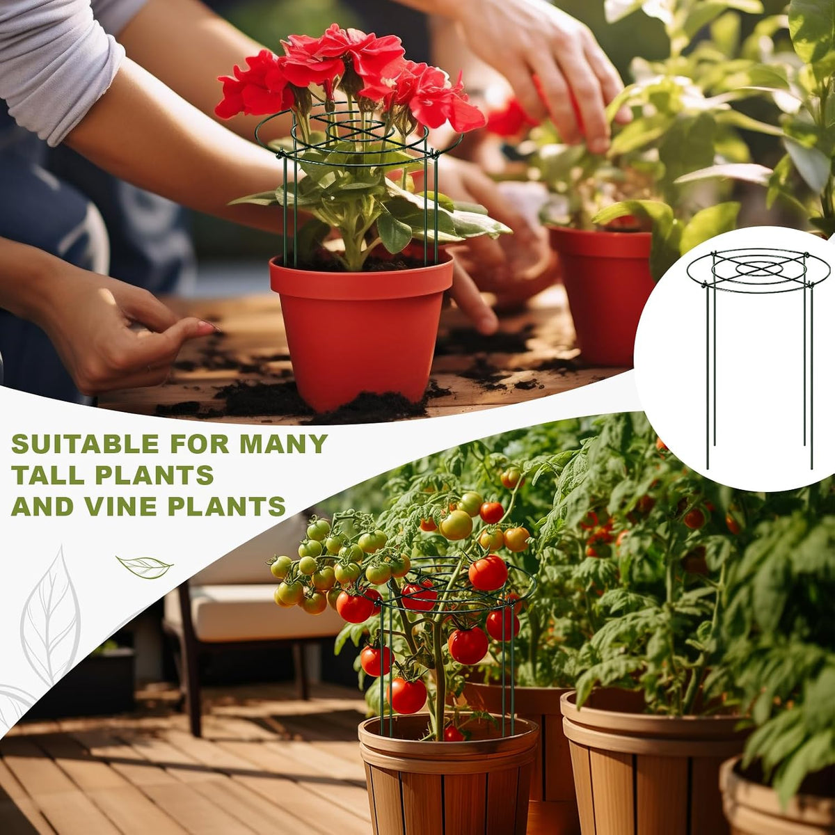 15 Pack Hydrangea Dahlia Peony Cages and Supports Grow Through Metal Plant Supports Frame Rings Hoops for Outdoor Hydrangea Dahlia Plants Tomato(Green,12 x16 Inch)