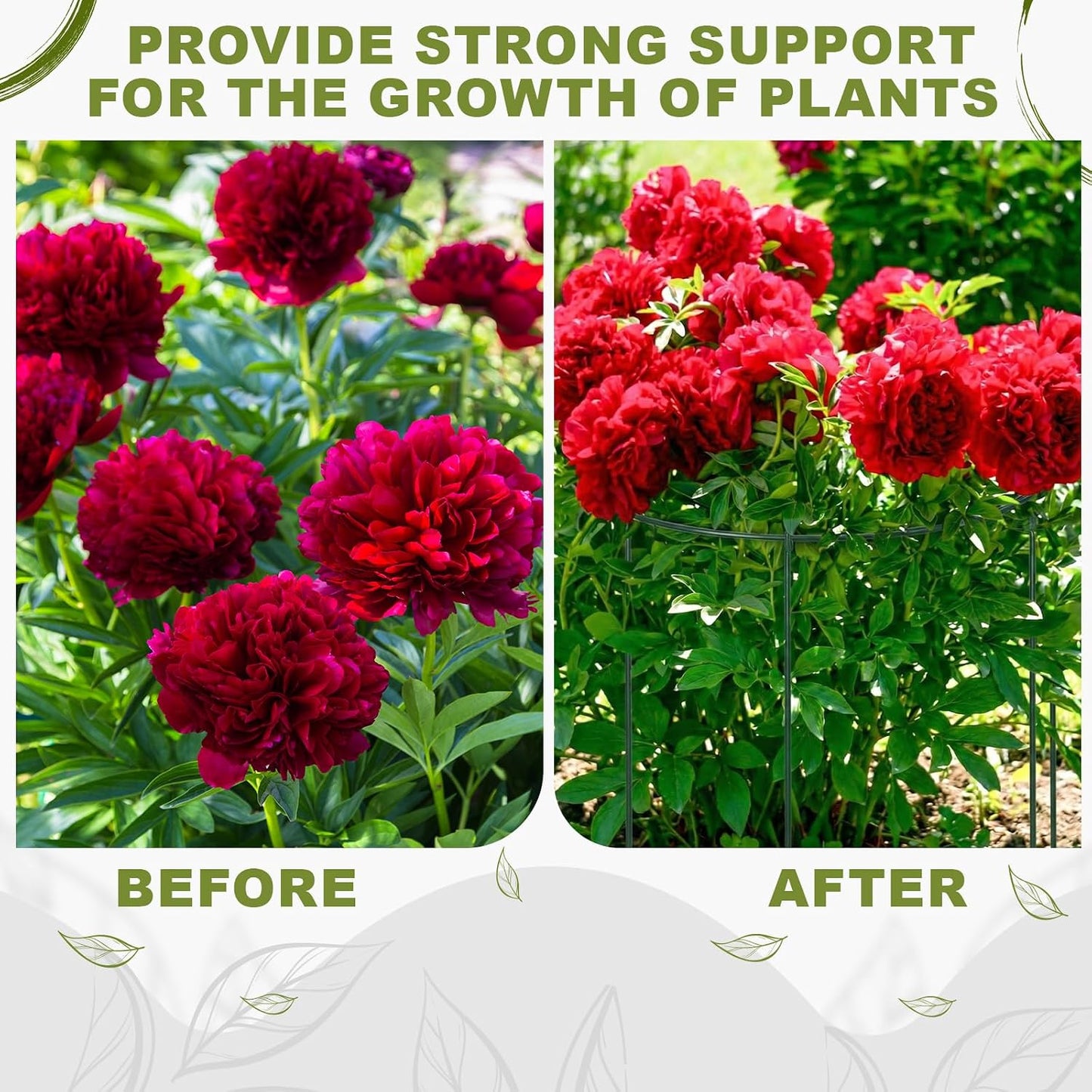 15 Pack Hydrangea Dahlia Peony Cages and Supports Grow Through Metal Plant Supports Frame Rings Hoops for Outdoor Hydrangea Dahlia Plants Tomato(Green,12 x16 Inch)