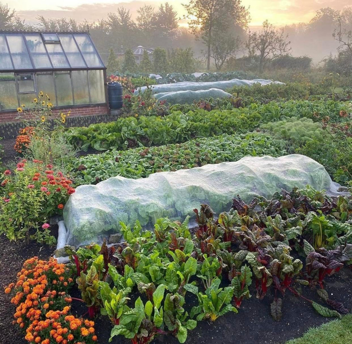 Garden Netting, Plant Covers 10x33Ft Net Ultra Fine Mesh Protection Netting for Vegetable Plants Fruits Flowers Crops Greenhouse Row Cover Raised Bed Barrier Screen Protection Net Cover (10x33ft)