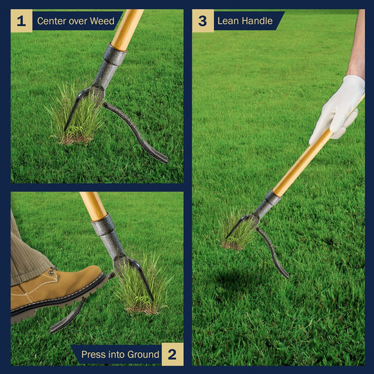 Stand Up Weed Puller Tool with Long Handle - 45.6” Ergonomic Weeder Puller - Cast Steel and Bamboo Weed Remover for Weeding Without Bending or Kneeling - Garden Tools for Gardening by Garret Wade