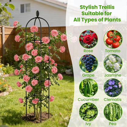 2 Pack Garden Obelisk Trellis for Climbing Plants, 71" Rustproof Metal Tower Plant Support Cages, Rose Trellis for Tomato Potted Flowers Vegetables Vines, Indoor Outdoor Garden Patio