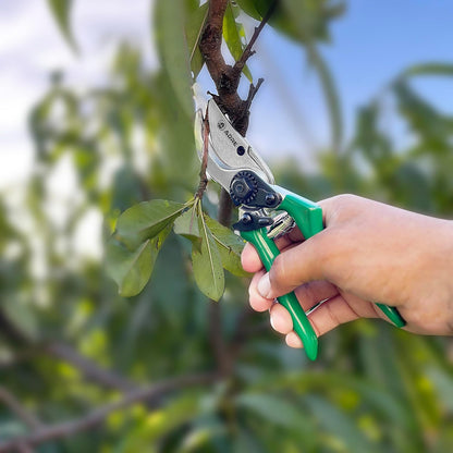 Bypass Garden Pruning Shears – 8-inch Professional Pruning Shears for Gardening – High Carbon Steel Garden Clippers with Non-Slip Handles – Sharp Hand Pruners for Small Branches, Pruning Trimming
