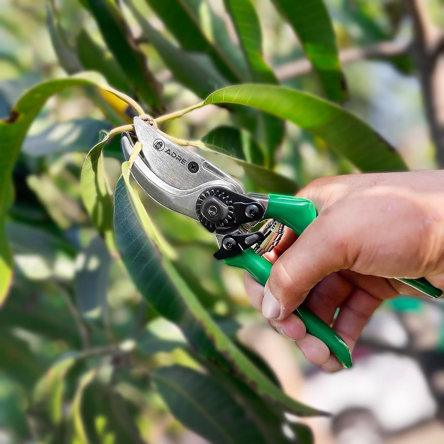 Bypass Garden Pruning Shears – 8-inch Professional Pruning Shears for Gardening – High Carbon Steel Garden Clippers with Non-Slip Handles – Sharp Hand Pruners for Small Branches, Pruning Trimming