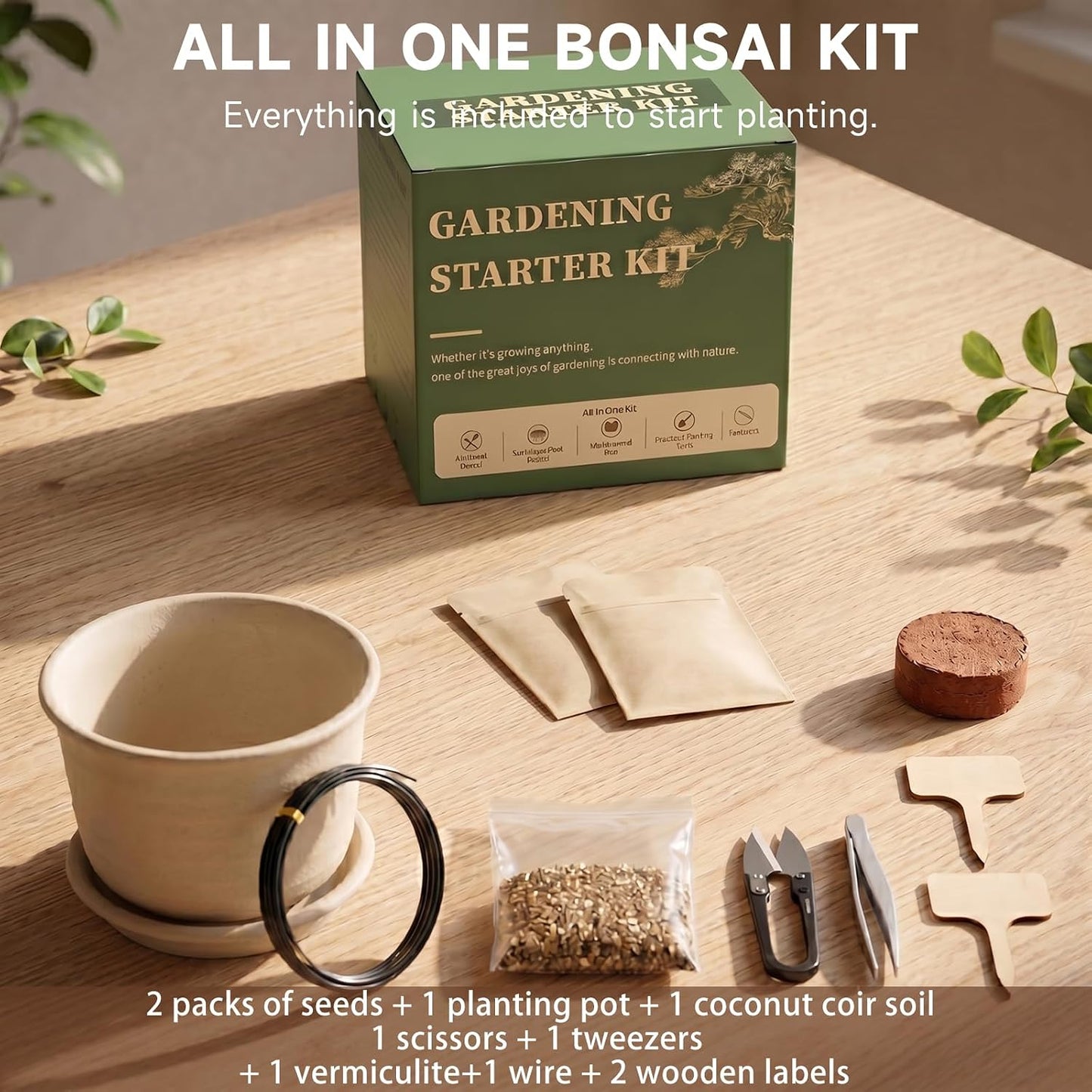 Bonsai Tree Starter Kit, Jacaranda Bonzai Kit, Indoor Bonsai Trees Plant Seeds with Drainage Design Pots, Gardening Gifts for Women, High-Value Plant Gifts