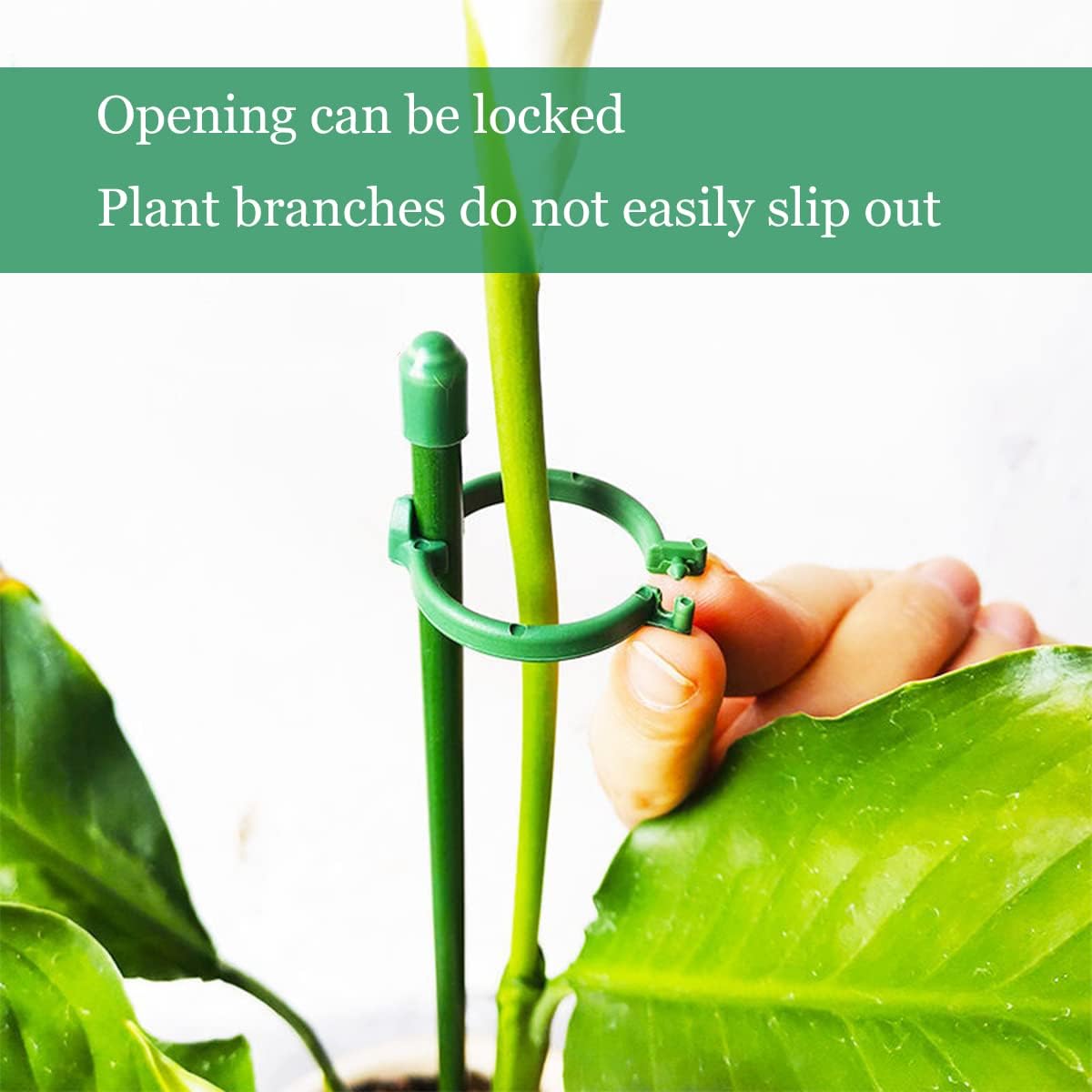 8 Pack Small Plant Support Plant Stakes, Adjustable Garden Single Stem Support Stake, Planter Support Ring for Orchid, Rose, Peony, Peppers and More, 12 inch