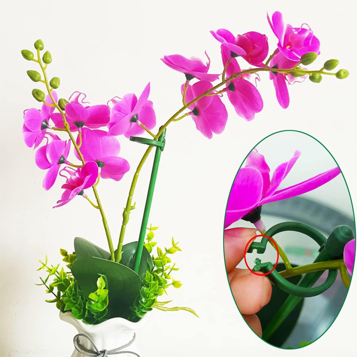 8 Pack Small Plant Support Plant Stakes, Adjustable Garden Single Stem Support Stake, Planter Support Ring for Orchid, Rose, Peony, Peppers and More, 12 inch
