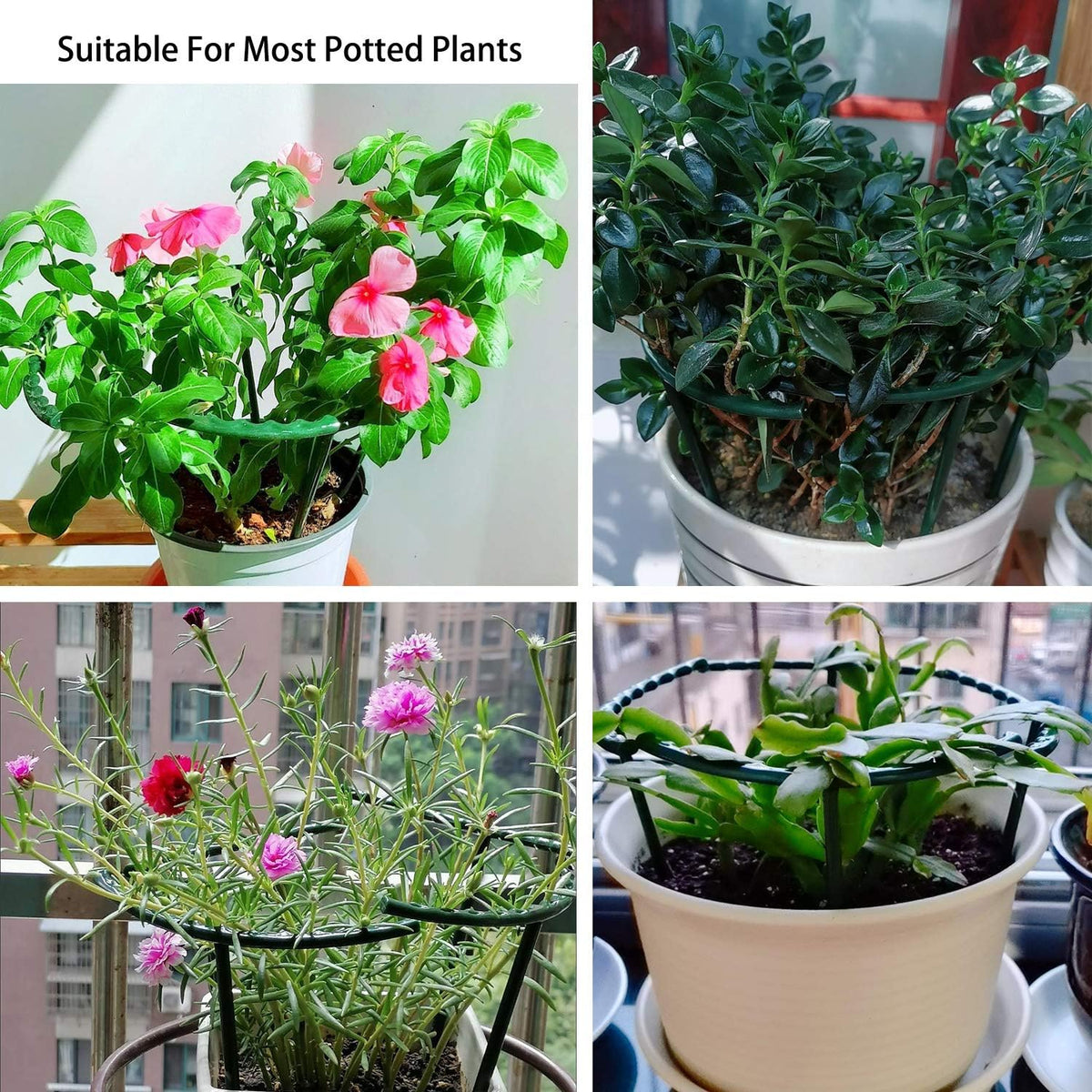 8 Pack Small Plant Support Plant Stakes, Adjustable Garden Single Stem Support Stake, Planter Support Ring for Orchid, Rose, Peony, Peppers and More, 12 inch