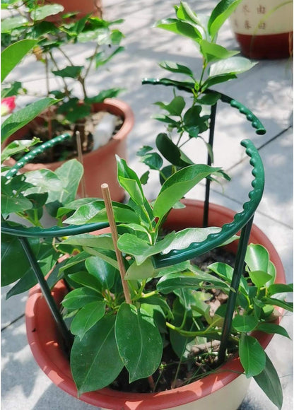 8 Pack Small Plant Support Plant Stakes, Adjustable Garden Single Stem Support Stake, Planter Support Ring for Orchid, Rose, Peony, Peppers and More, 12 inch