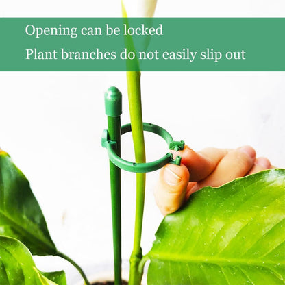 8 Pack Small Plant Support Plant Stakes, Adjustable Garden Single Stem Support Stake, Planter Support Ring for Orchid, Rose, Peony, Peppers and More, 12 inch