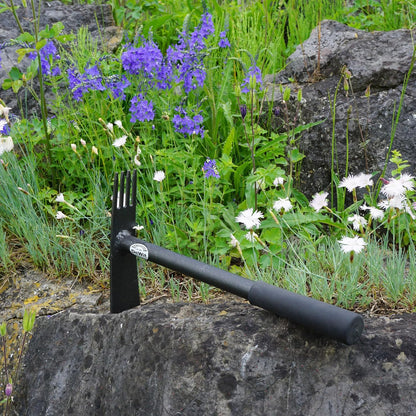 DeWit Comby 2-Tine Cultivator/Diamond Hoe
