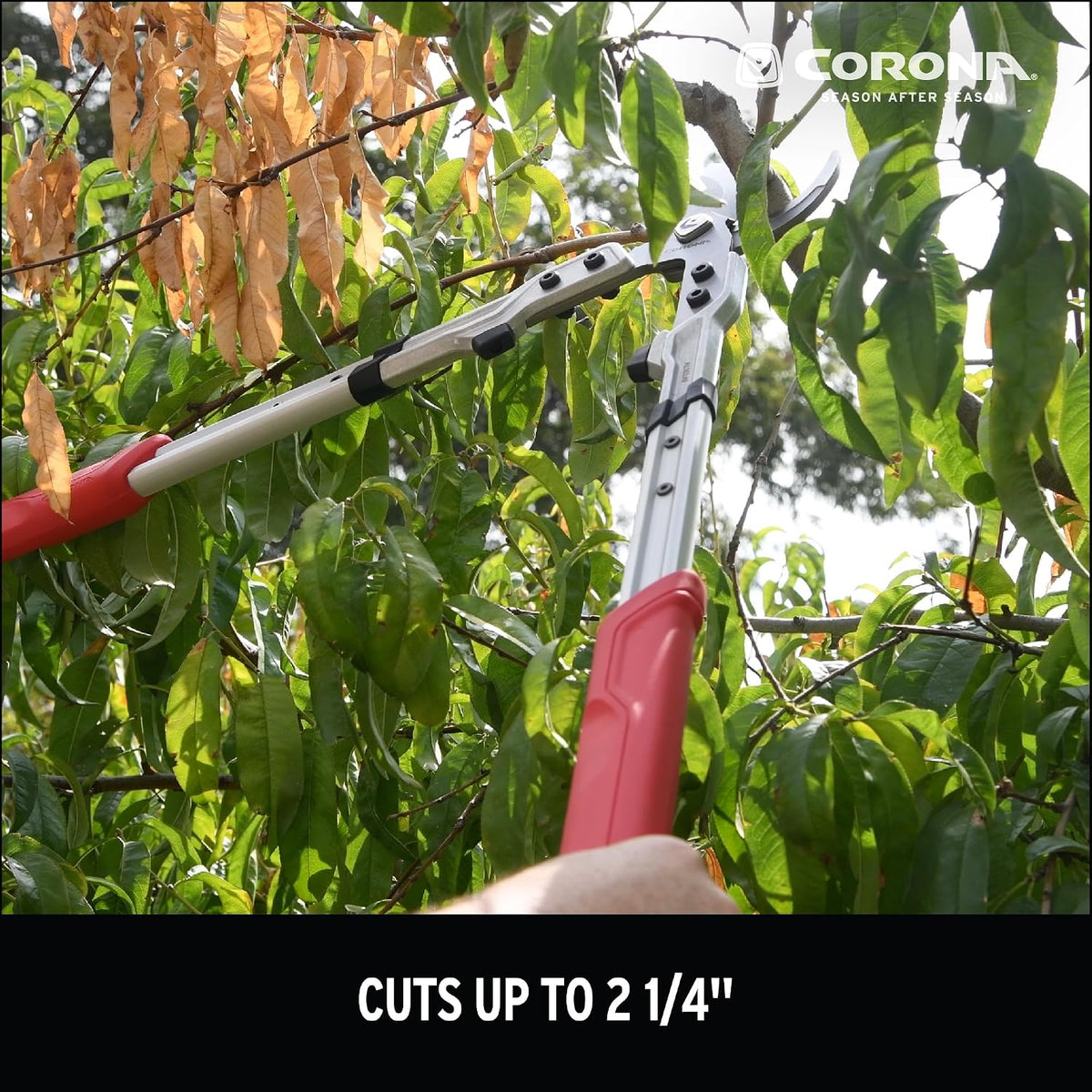 X Series Pro Bypass Lopper – 2-1/4″ Cutting Capacity Heavy-Duty Branch Cutter for Tree & Shrub Trimming