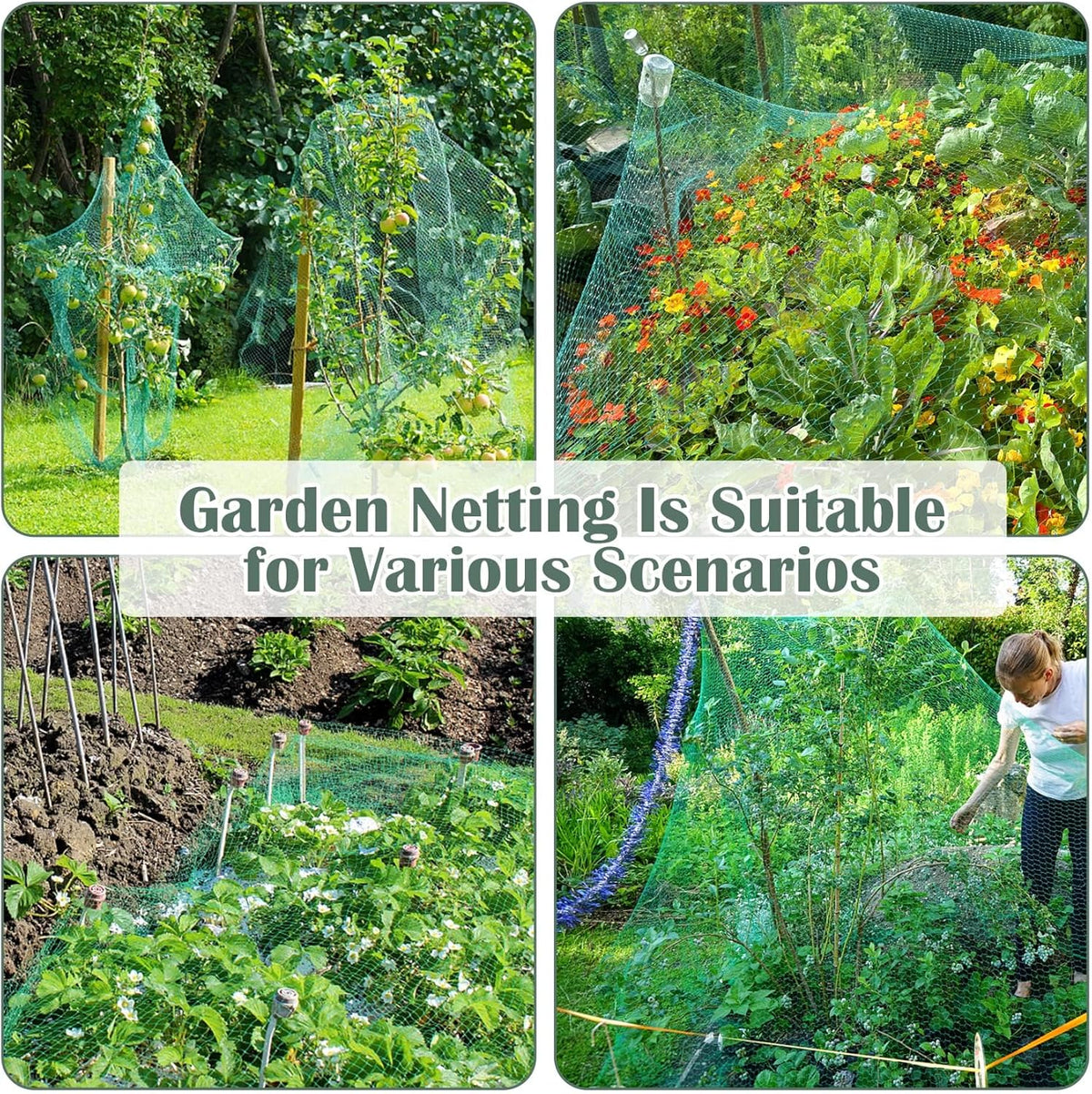 13Ft x 33Ft Anti Bird Netting Protection Mesh Garden Netting Seedlings Plants Flowers Fruit Trees Vegetables from Rodents Deer Reusable Fencing, Green