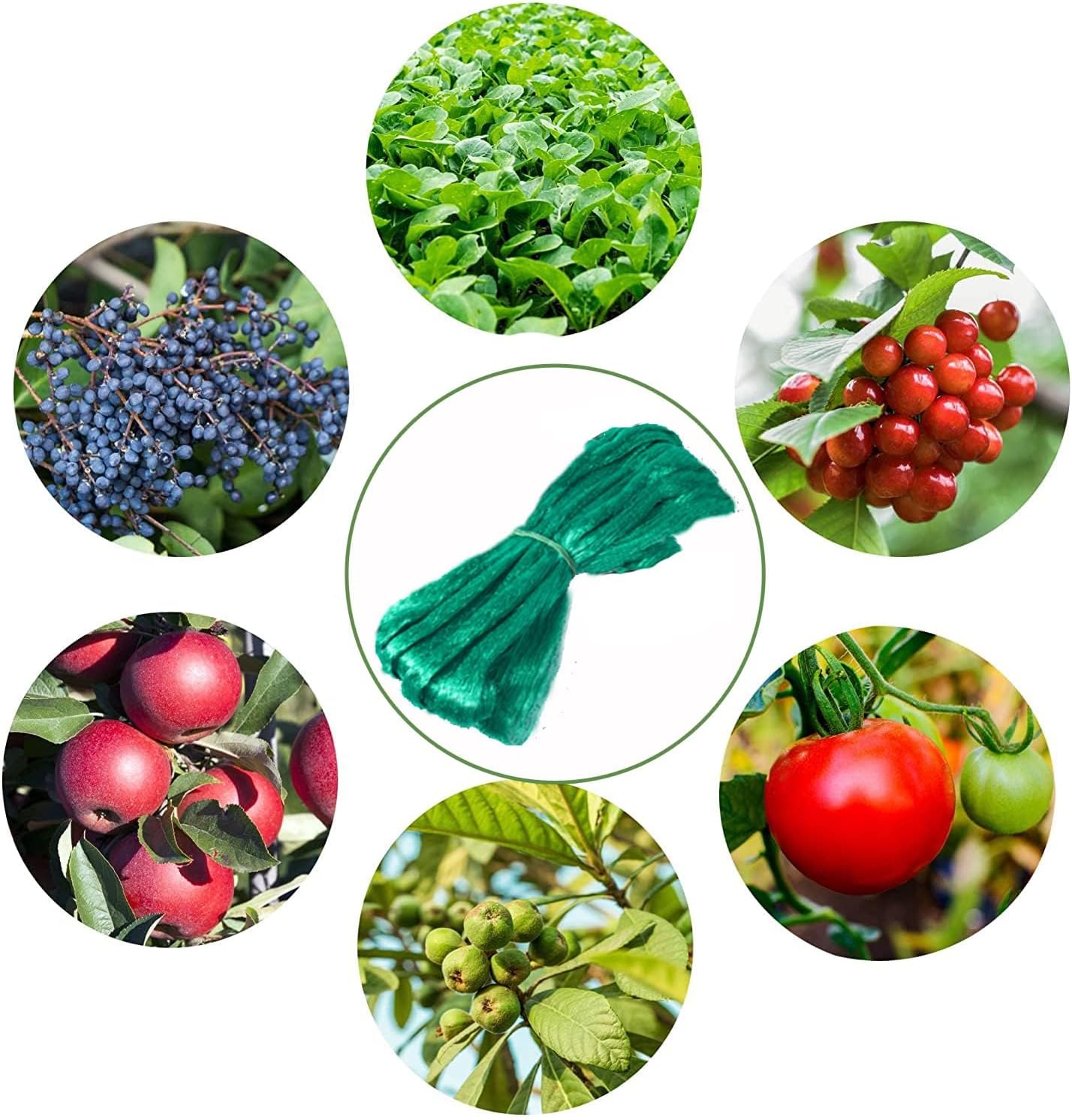 13Ft x 33Ft Anti Bird Netting Protection Mesh Garden Netting Seedlings Plants Flowers Fruit Trees Vegetables from Rodents Deer Reusable Fencing, Green