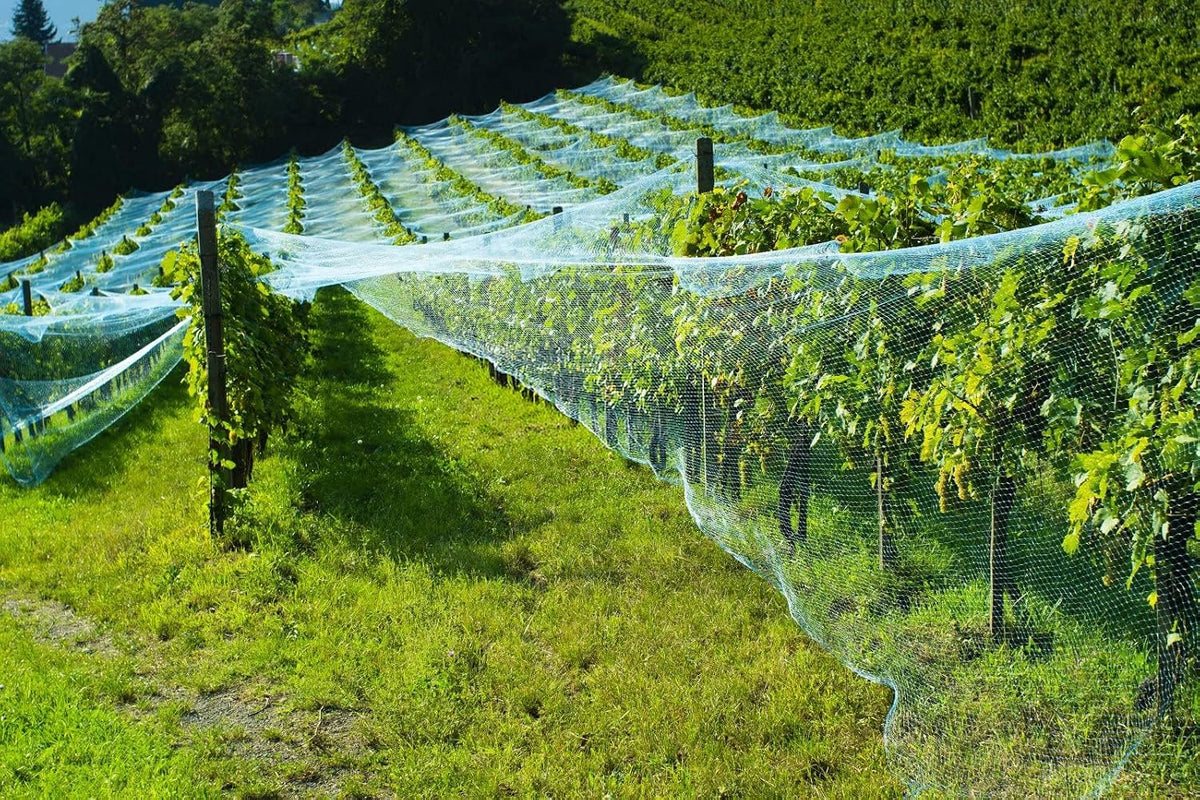 13Ft x 33Ft Anti Bird Netting Protection Mesh Garden Netting Seedlings Plants Flowers Fruit Trees Vegetables from Rodents Deer Reusable Fencing, Green