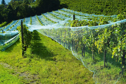13Ft x 33Ft Anti Bird Netting Protection Mesh Garden Netting Seedlings Plants Flowers Fruit Trees Vegetables from Rodents Deer Reusable Fencing, Green