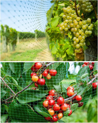 13Ft x 33Ft Anti Bird Netting Protection Mesh Garden Netting Seedlings Plants Flowers Fruit Trees Vegetables from Rodents Deer Reusable Fencing, Green