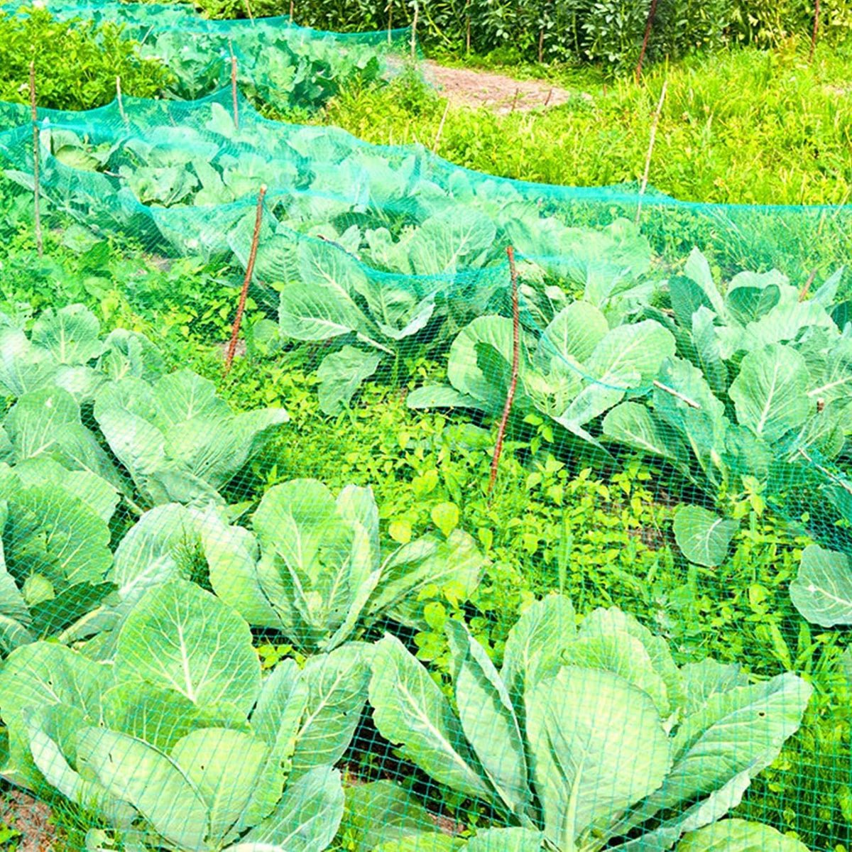 13Ft x 33Ft Anti Bird Netting Protection Mesh Garden Netting Seedlings Plants Flowers Fruit Trees Vegetables from Rodents Deer Reusable Fencing, Green