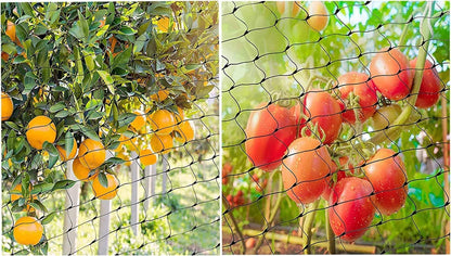 13Ft x 33Ft Anti Bird Netting Protection Mesh Garden Netting Seedlings Plants Flowers Fruit Trees Vegetables from Rodents Deer Reusable Fencing, Green
