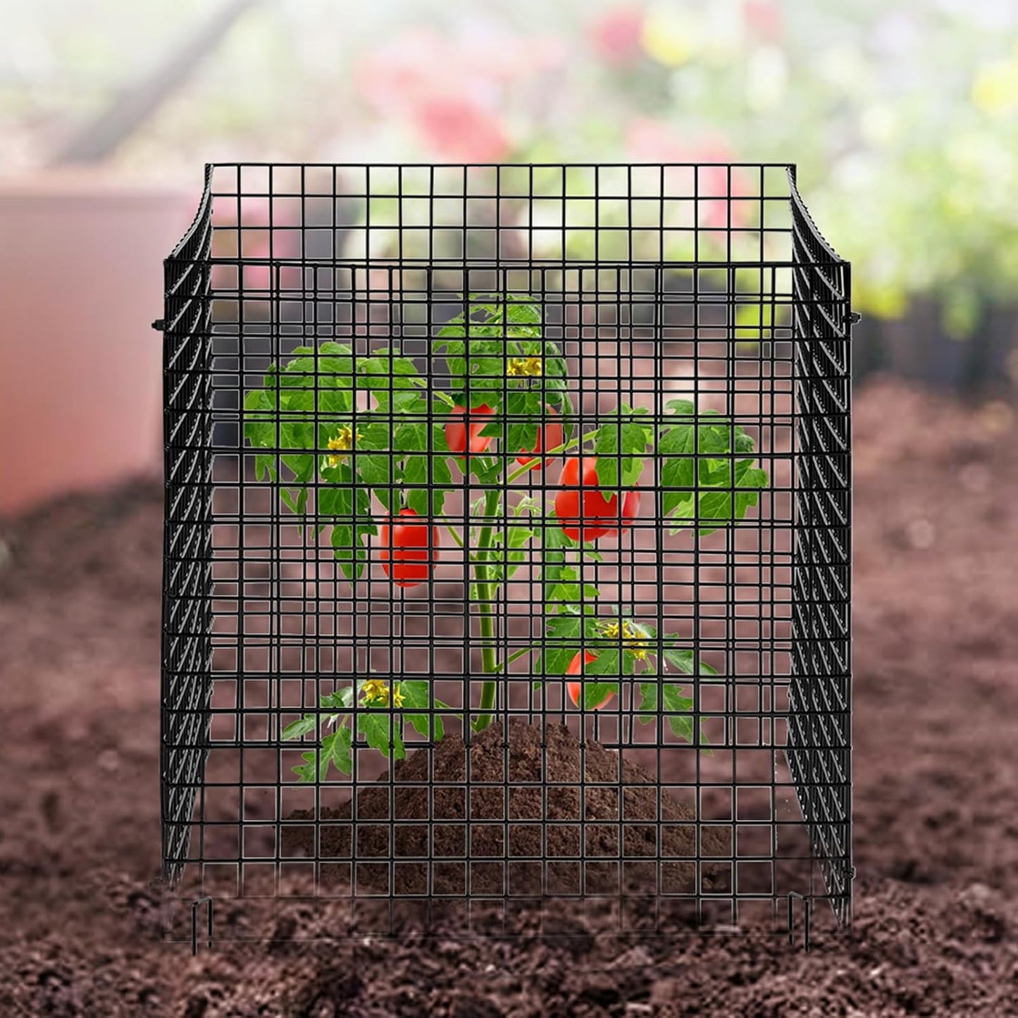 Tomato Cages, 11.8" x 11.8" x 46.1", 10 Packs Square Plant Support Cages, Silver PVC-Coated Steel Tomato Towers for Climbing Vegetables, Plants, Flowers, Fruits