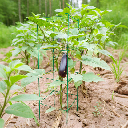6-Pack 46inch Metal Tomato Cage for Garden Plant Support