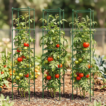 6-Pack 46inch Metal Tomato Cage for Garden Plant Support