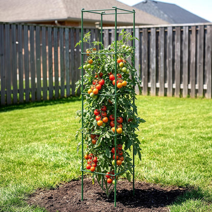 6-Pack 46inch Metal Tomato Cage for Garden Plant Support