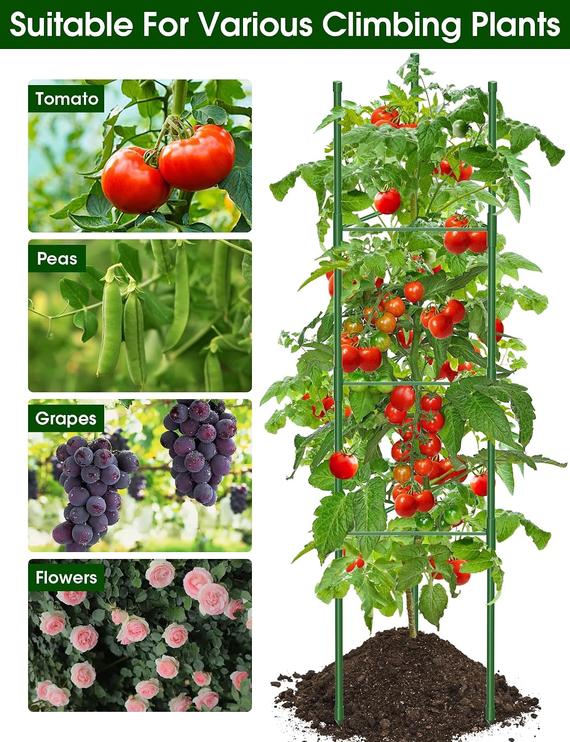 Tomato Cages,6 Pack MQJIAZHI 51.2inch Adjustable - Rust-Proof Tool-Free Trellis for Raised Garden Bed & Climbing Plants