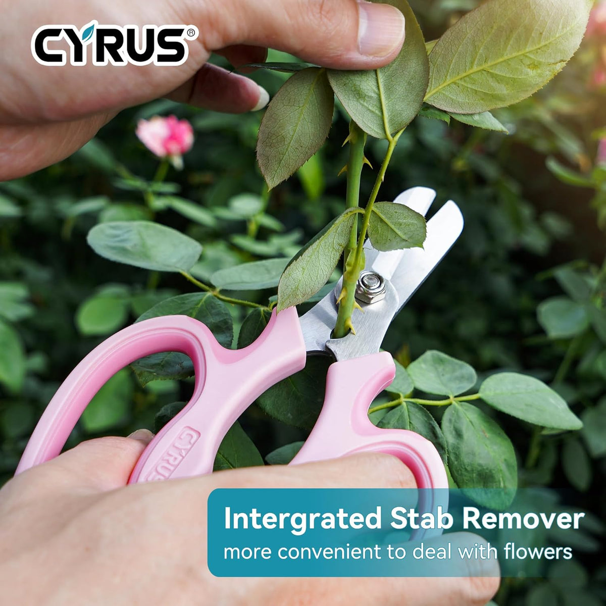 Pink Stainless Steel Floral Shears with Integrated Stab Remover