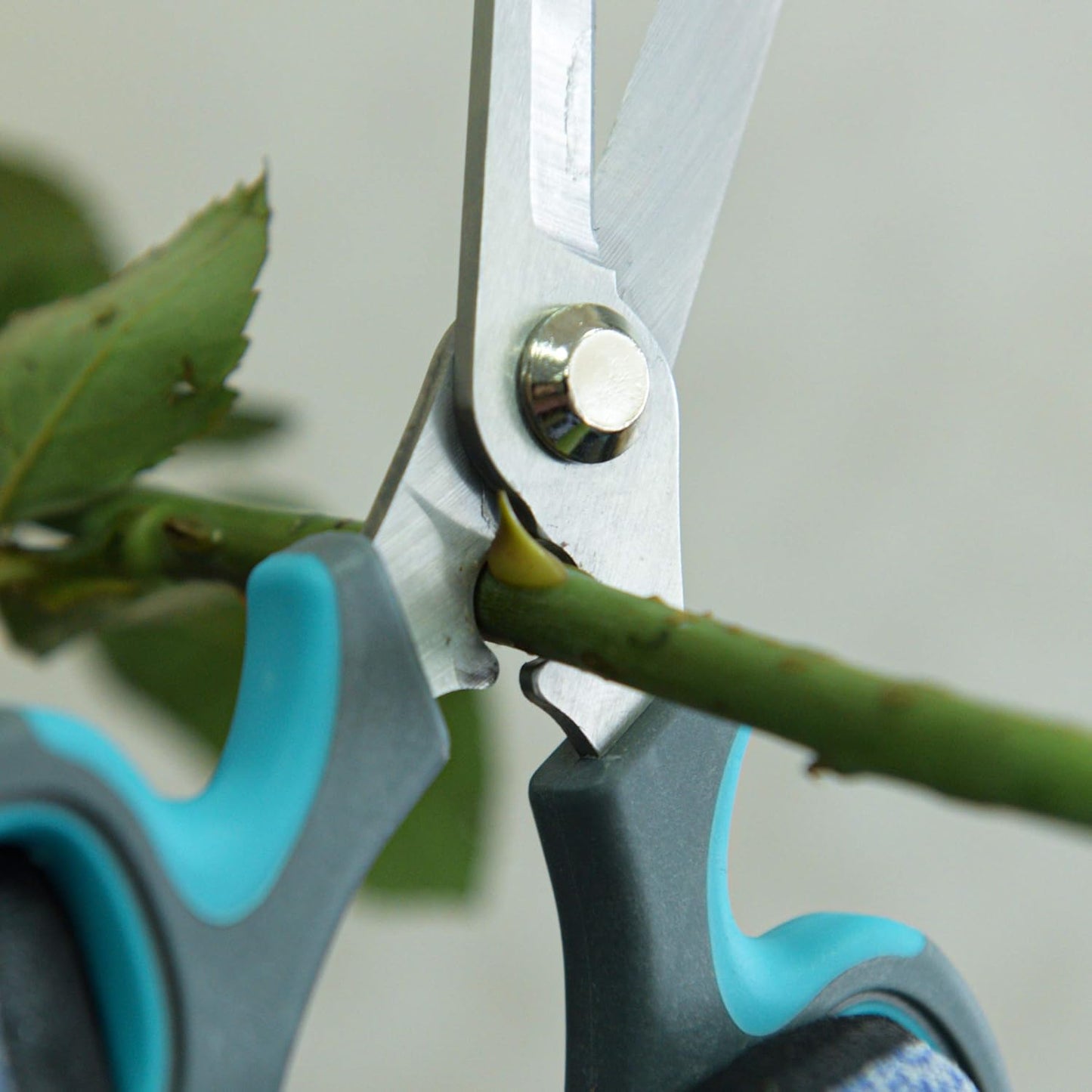 Pink Stainless Steel Floral Shears with Integrated Stab Remover