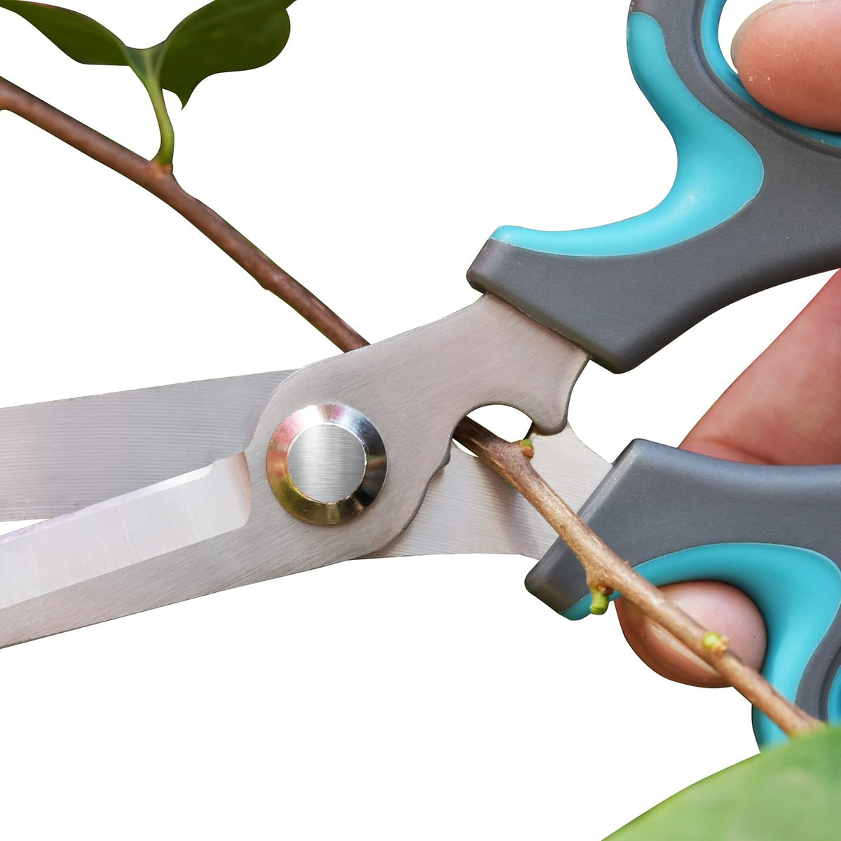Pink Stainless Steel Floral Shears with Integrated Stab Remover