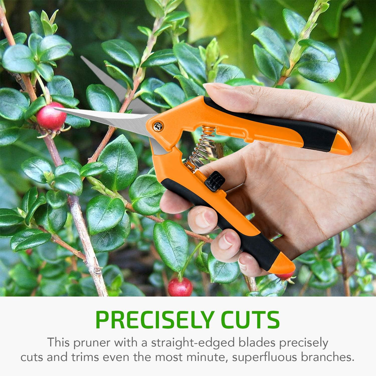 6.5 Inch Gardening Scissors Hand Pruner Pruning Shear with Straight Stainless Steel Blades, Yellow, 1-Pack