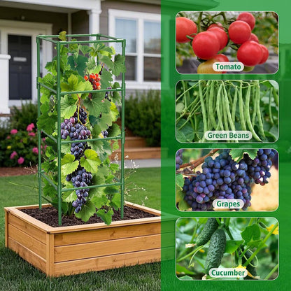 3 Pack Tomato Cages, 42 Inch Heavy Duty Metal Square Tomato Cage for Raised Garden Bed, Rust-Proof Sturdy Tall Tomato Trellis Supports for Climbing Plants Outdoor with Clips Wire