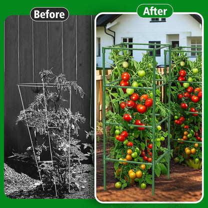 3 Pack Tomato Cages, 42 Inch Heavy Duty Metal Square Tomato Cage for Raised Garden Bed, Rust-Proof Sturdy Tall Tomato Trellis Supports for Climbing Plants Outdoor with Clips Wire
