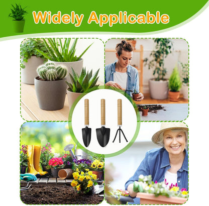 Mini Garden Tools for House Plants,Small Trowel,Mini Shovel and Hand Rake
