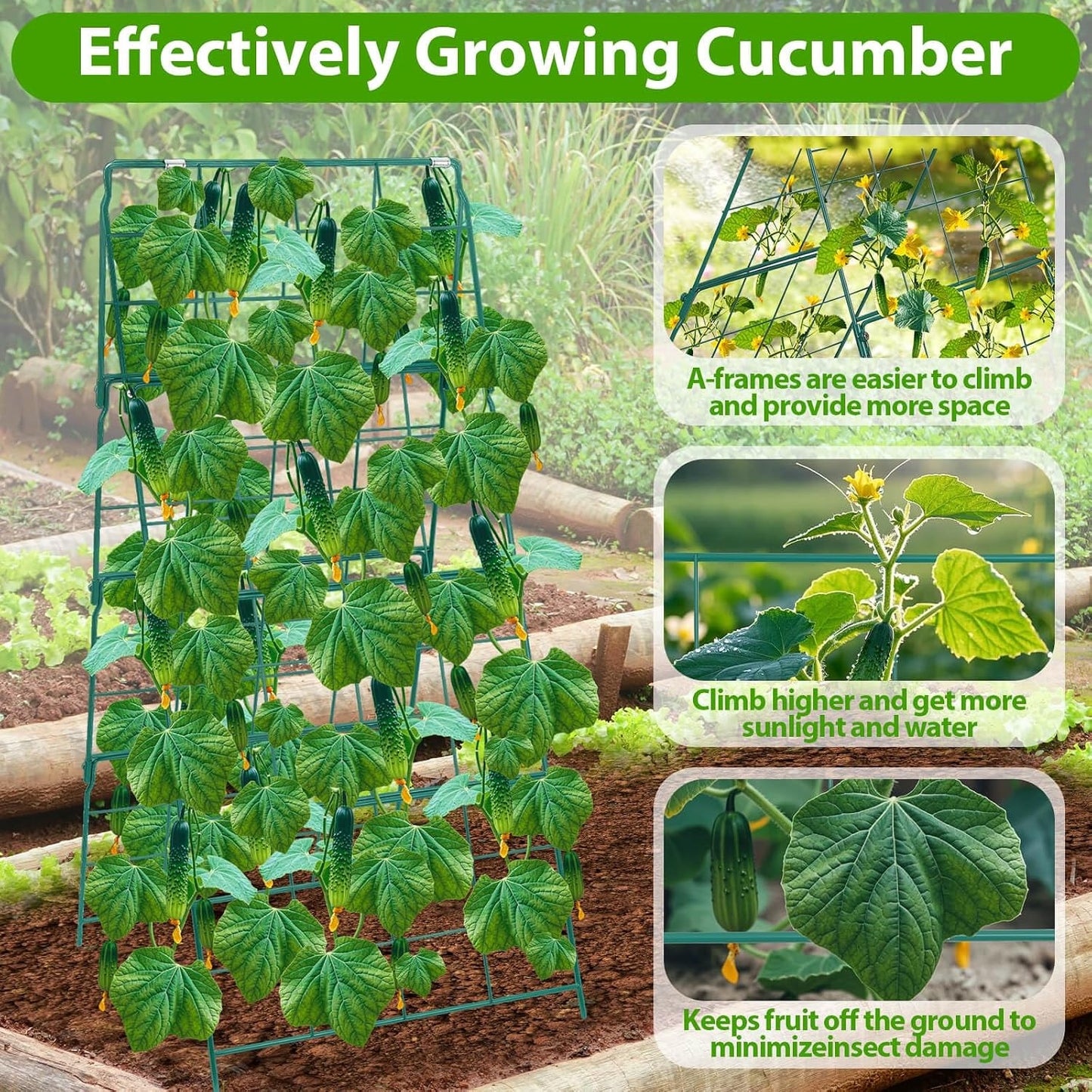 2 Pack Cucumber Trellis for Raised Garden Bed, Outdoor Sturdy Metal A-Frame Cucumber Trellis Support for Climbing Plants Vegetables with Accessories, Easy Installation & Easy Harvesting