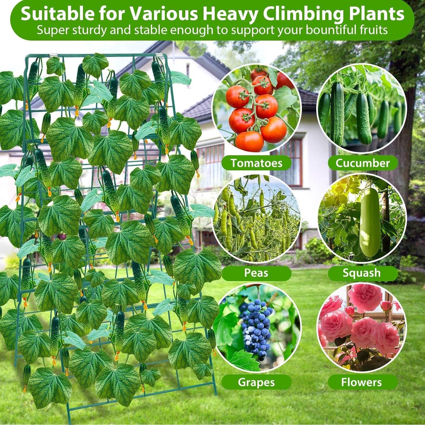 2 Pack Cucumber Trellis for Raised Garden Bed, Outdoor Sturdy Metal A-Frame Cucumber Trellis Support for Climbing Plants Vegetables with Accessories, Easy Installation & Easy Harvesting