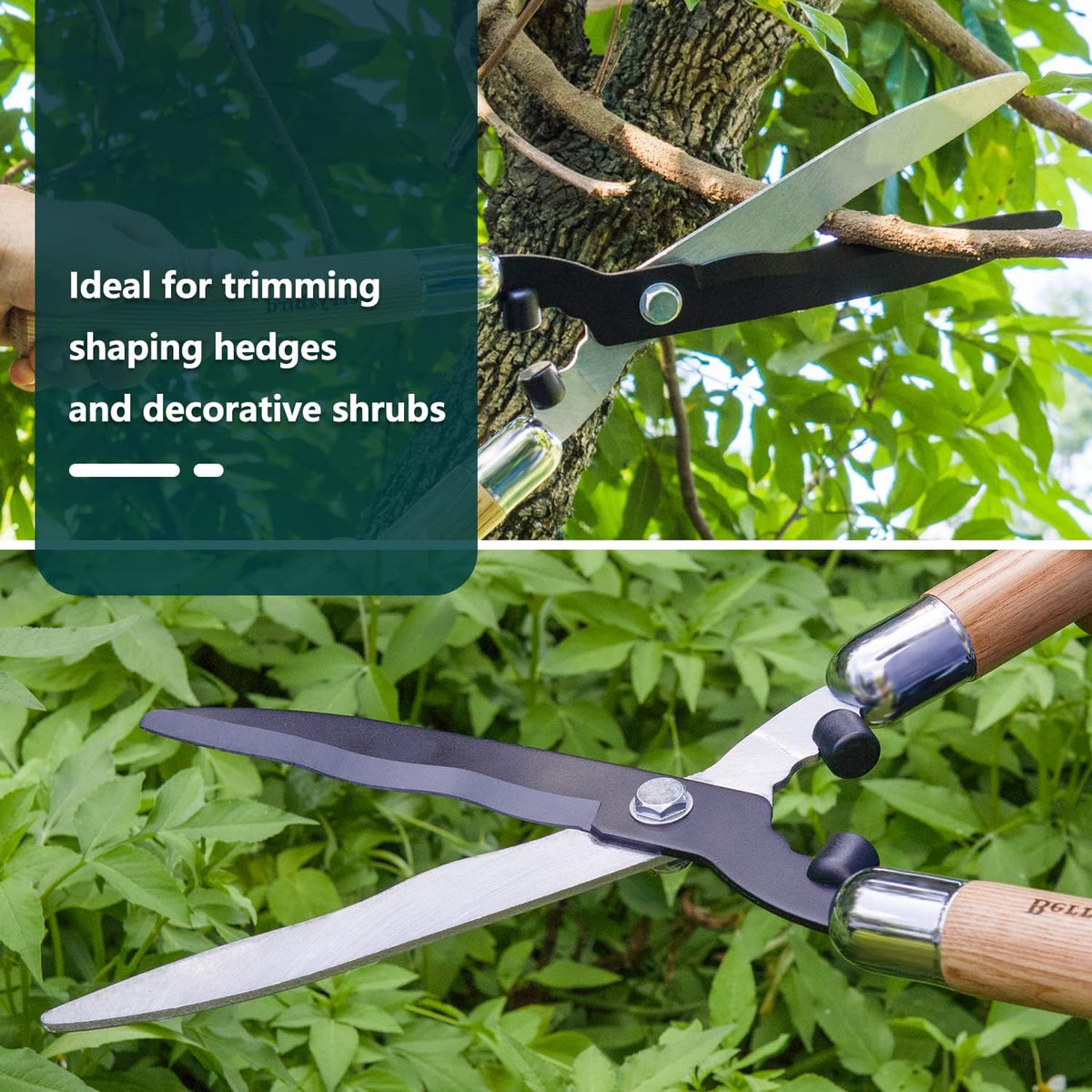 Garden Hedge Shears,19.88''Heavy Duty Pruning Shear for Trimming Borders and Bushes, Manual Hedge Clippers with Wooden Handles & Carbon Steel Sharp Blades Gardening Scissors