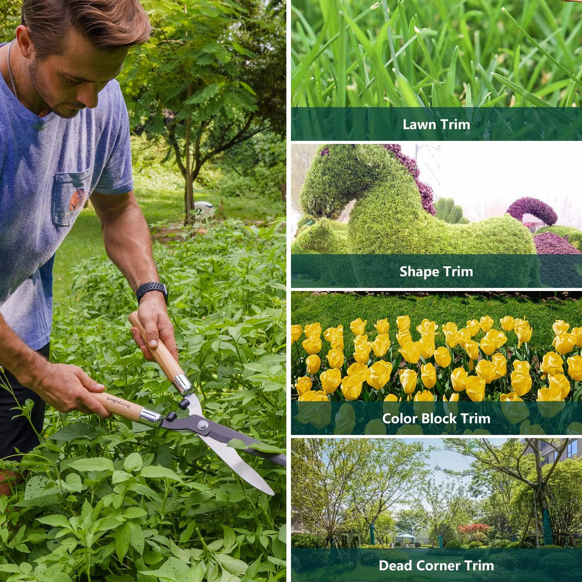 Garden Hedge Shears,19.88''Heavy Duty Pruning Shear for Trimming Borders and Bushes, Manual Hedge Clippers with Wooden Handles & Carbon Steel Sharp Blades Gardening Scissors