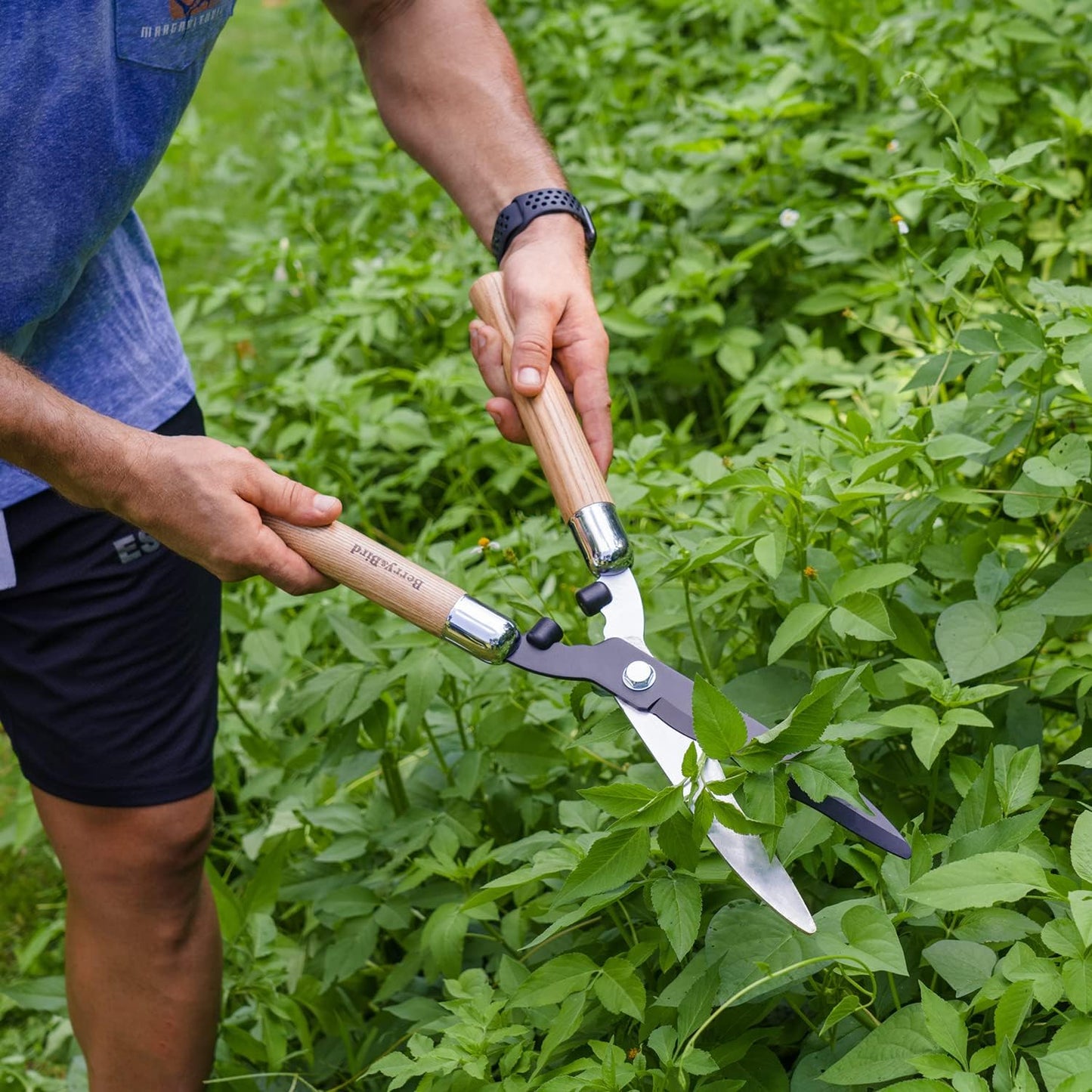 Garden Hedge Shears,19.88''Heavy Duty Pruning Shear for Trimming Borders and Bushes, Manual Hedge Clippers with Wooden Handles & Carbon Steel Sharp Blades Gardening Scissors
