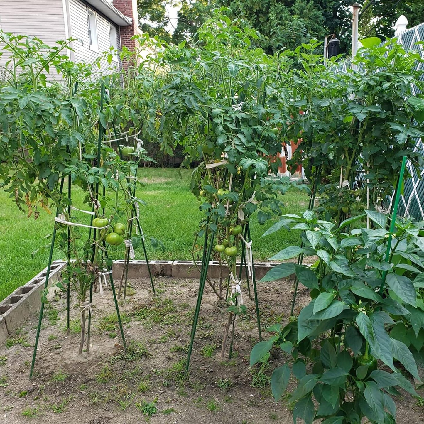 Garden Plant Stakes, 48 Inch 4Ft Steel Tomato Stakes, 25 Pack