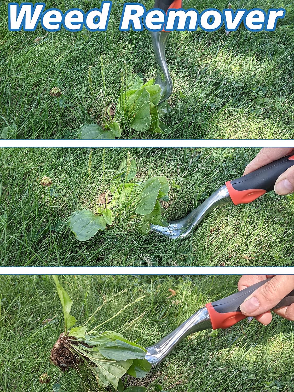 SciencePurchase Set of 4 Gardening Tool Set - Transplant Trowel, Hand Cultivator Rake, Hand Trowel, and Weed Remover - Sturdy Tools with Rubberized Grip Handles