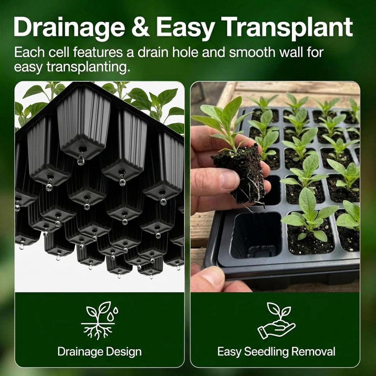 5-Set Seed Starter Tray Kits, Durable Plant Germination Trays with Humidity Vented Domes and Bases, Ideal for Seed Starting, Indoor Gardening, and Greenhouse (Total 200 Cells)