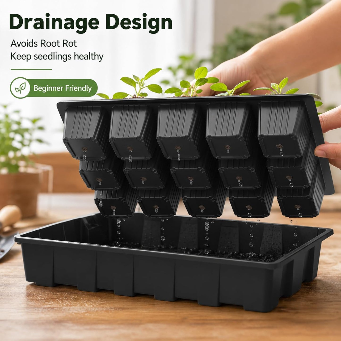 5-Set Seed Starter Tray Kits, Durable Plant Germination Trays with Humidity Vented Domes and Bases, Ideal for Seed Starting, Indoor Gardening, and Greenhouse (Total 200 Cells)