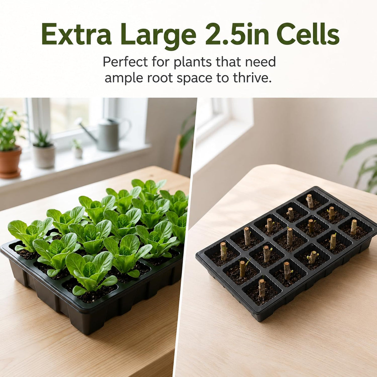 5-Set Seed Starter Tray Kits, Durable Plant Germination Trays with Humidity Vented Domes and Bases, Ideal for Seed Starting, Indoor Gardening, and Greenhouse (Total 200 Cells)