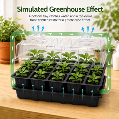 5-Set Seed Starter Tray Kits, Durable Plant Germination Trays with Humidity Vented Domes and Bases, Ideal for Seed Starting, Indoor Gardening, and Greenhouse (Total 200 Cells)