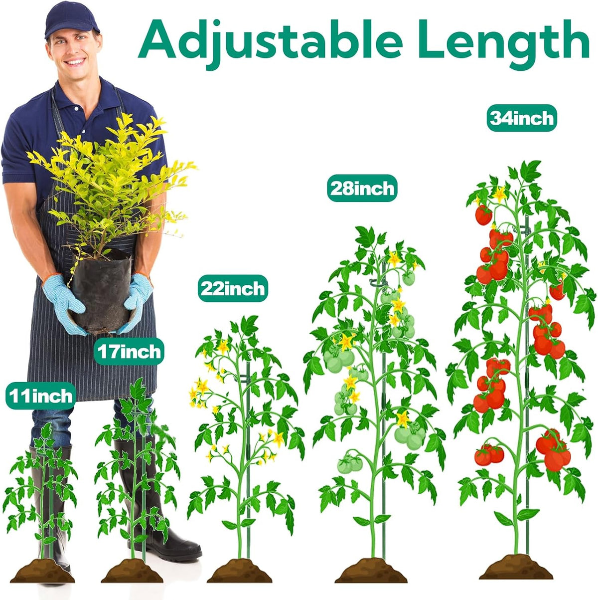 48 Pack Plant Support Stakes, 11 Inch&17 Inch Height Adjustable Garden Plant Stake Orchid Sticks with 48 Clips and 24 Links Potted Plant Support for Orchid, Amaryllis, Tomato, Indoor&Outdoor