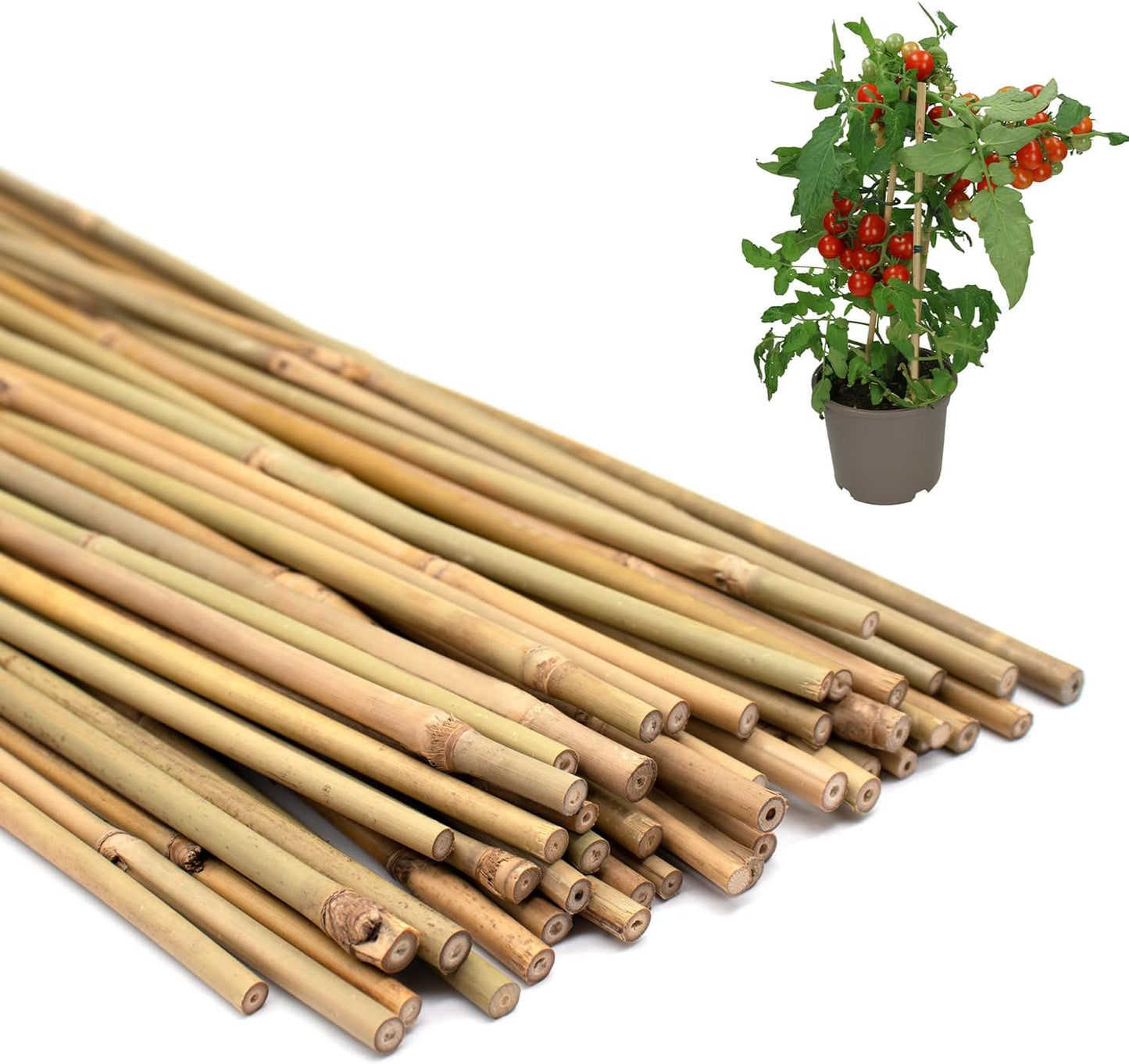 Plant Stakes 50Pcs 18IN, Premium Natural Bamboo Stakes Garden Stakes