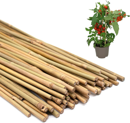 Plant Stakes 50Pcs 18IN, Premium Natural Bamboo Stakes Garden Stakes
